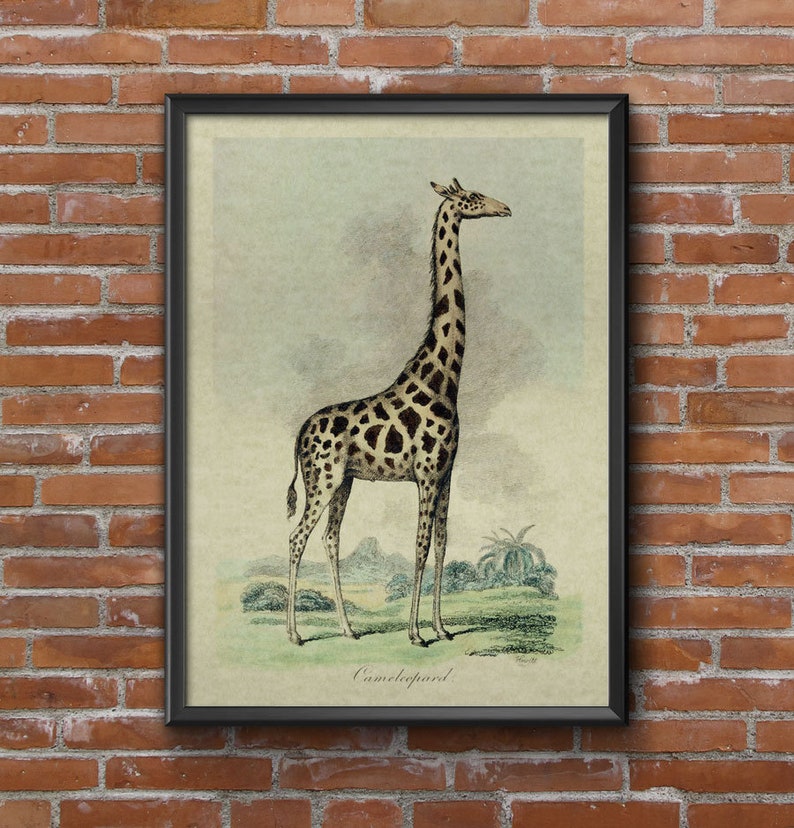 GIRAFFA